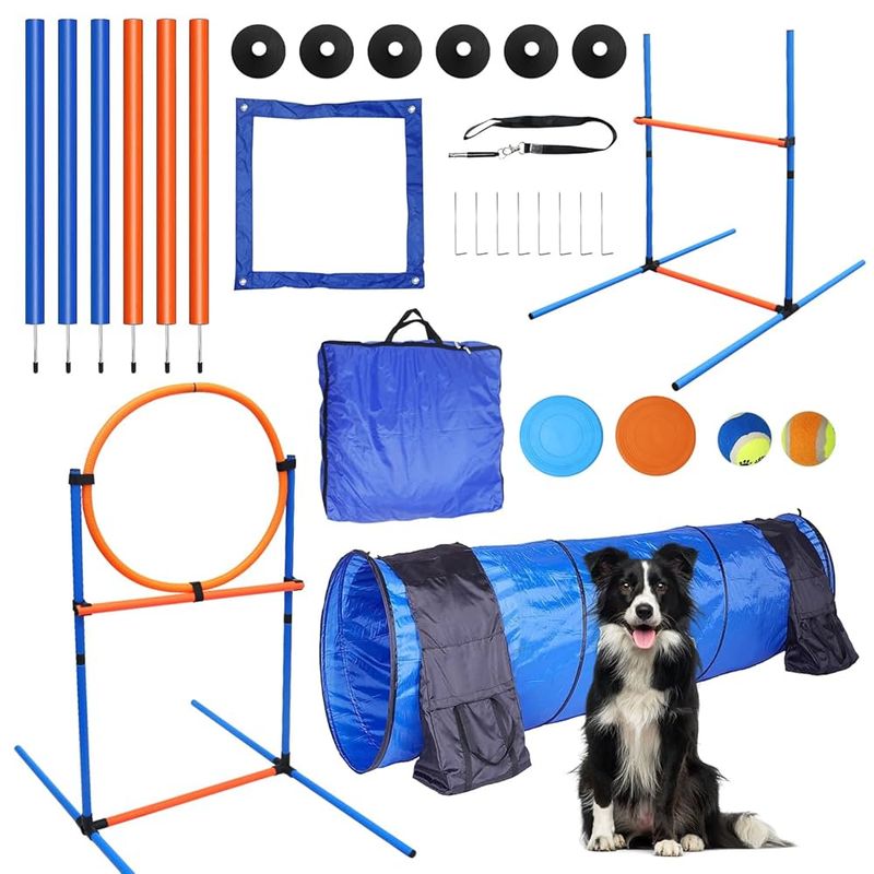 Agility Training Set