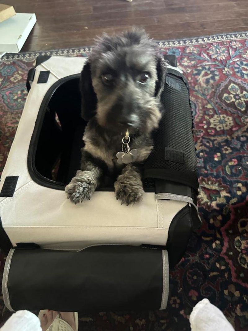 Not bringing familiar items