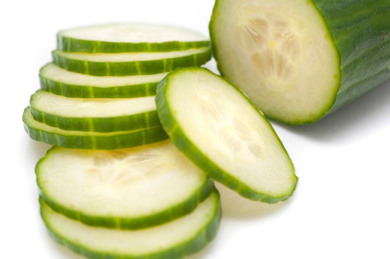 12 healthier snacks that dogs love and experts recommend 8 Cucumber slices