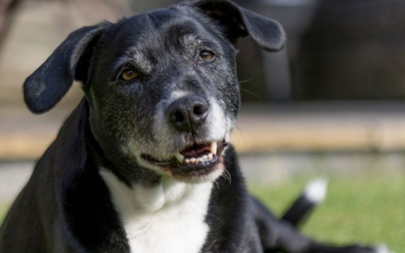 Confusion or disorientation