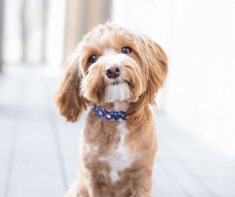 Maintain a daily routine