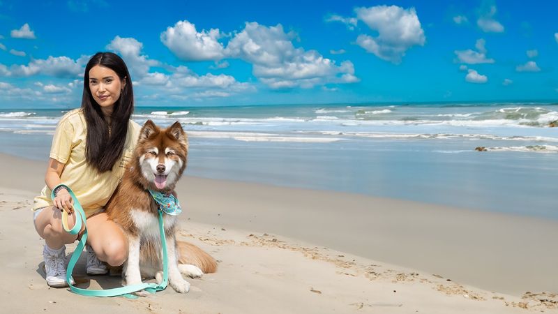 Reflective outdoor gear