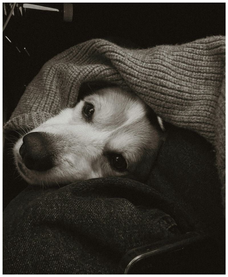 Use familiar blankets
