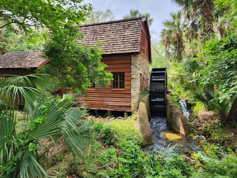 Ocala National Forest (Juniper Springs area) - Ocala, Florida