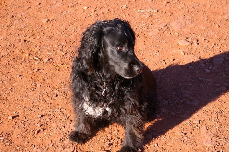 staring into space for a few seconds