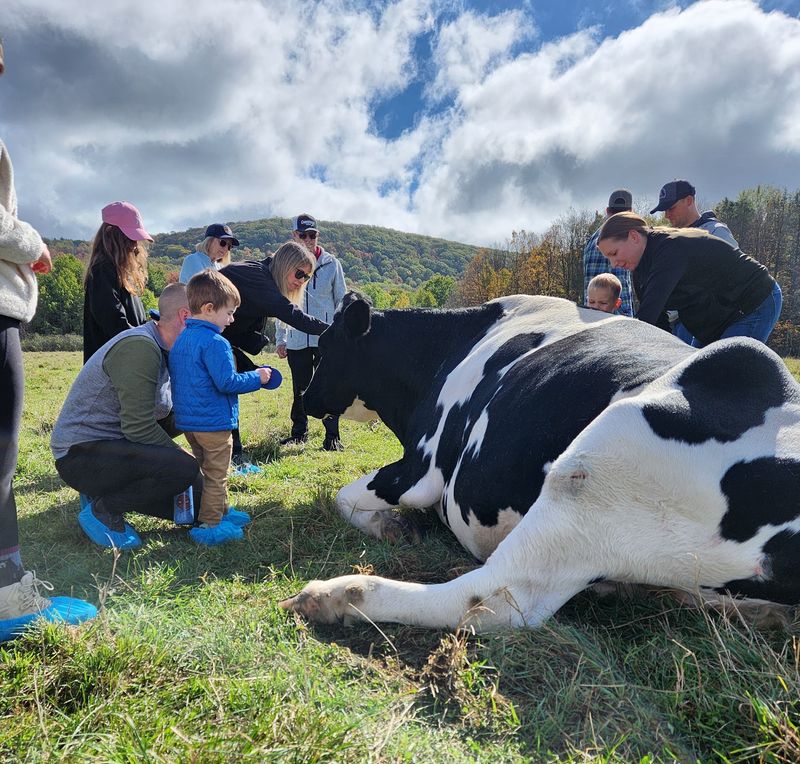 Farm Sanctuary