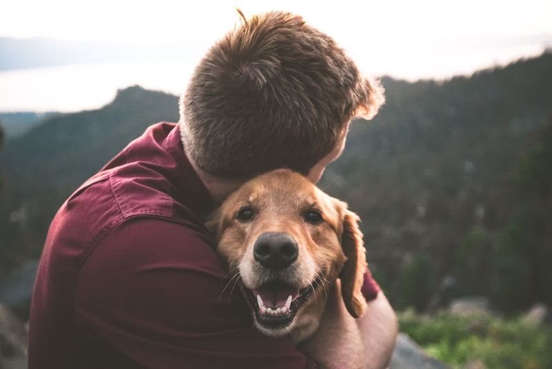 11 dog behaviors that show just how emotionally aware they really are 11 Adjusting behavior based on your mood