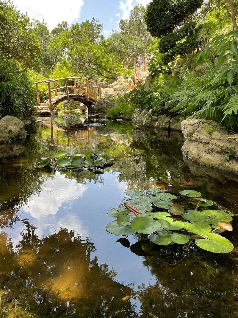 A Pocket of Calm on Barton Springs Road