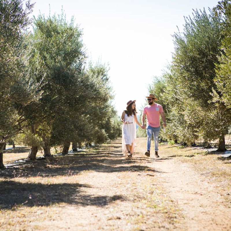 Who Will Love an Afternoon on the Orchard