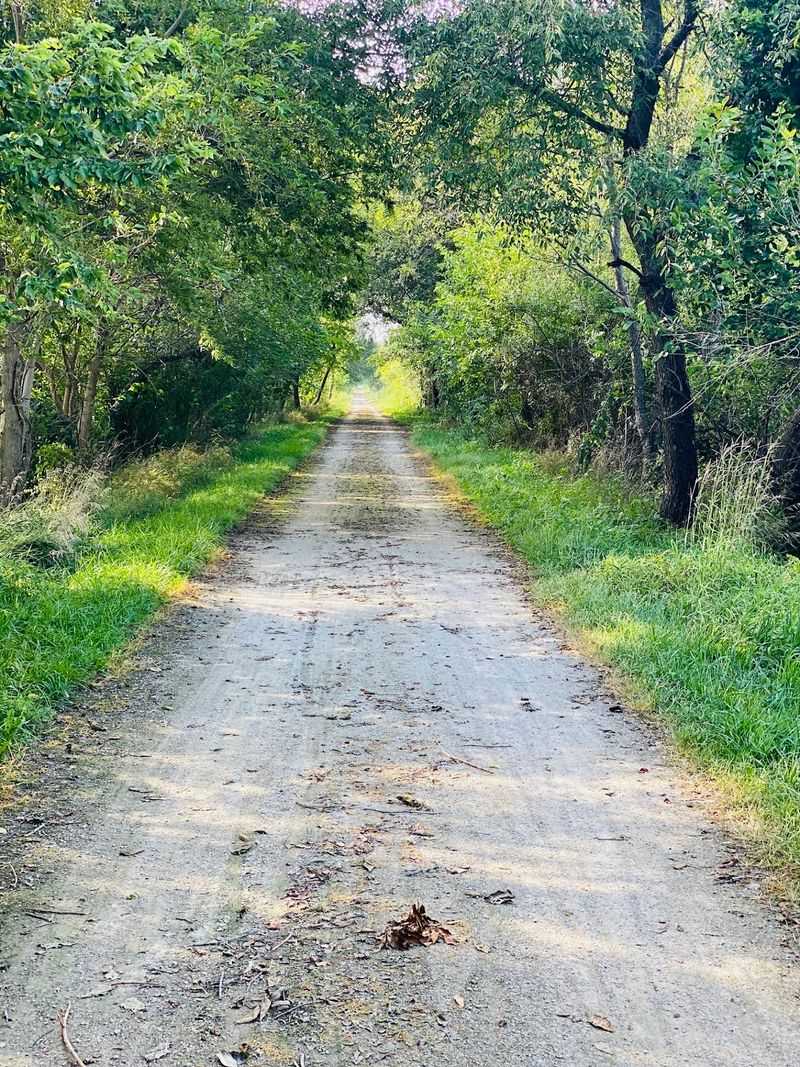 A Rail Line Reborn North of Peoria
