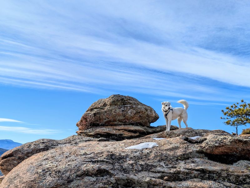 Staunton State Park - Pine, Colorado