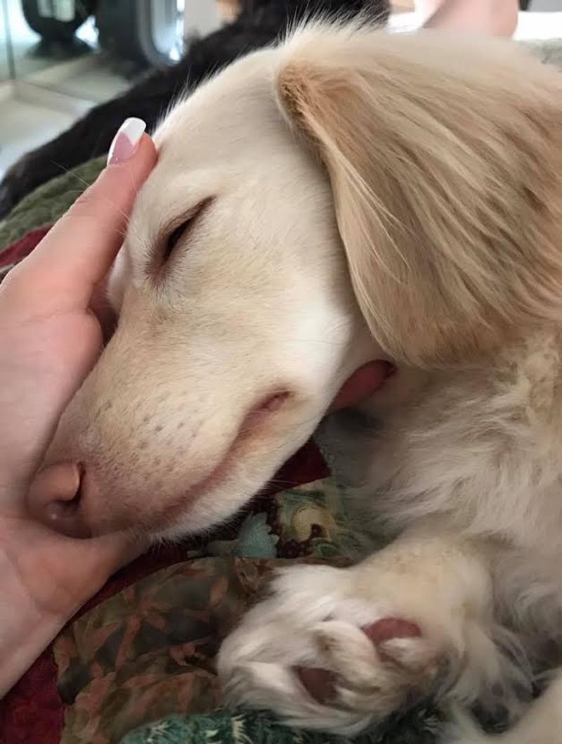 Offer gentle touch
