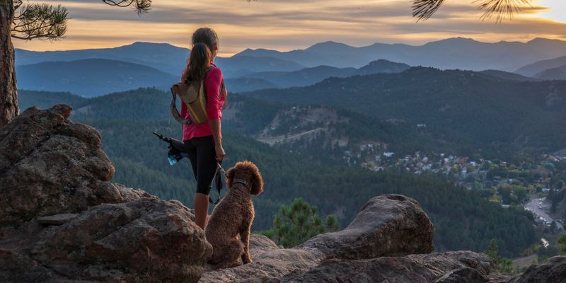 10 reasons large dogs make life better in ways small dogs can’t 9 They are ideal for active lifestyles