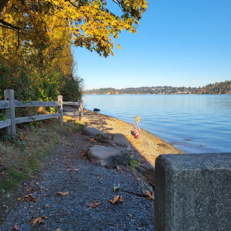 Luther Burbank Park Dog Park - Mercer Island, Washington