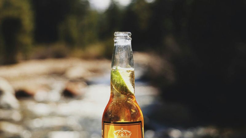 Every dog owner should know these 13 dangerous foods before it's too late 9 Alcohol