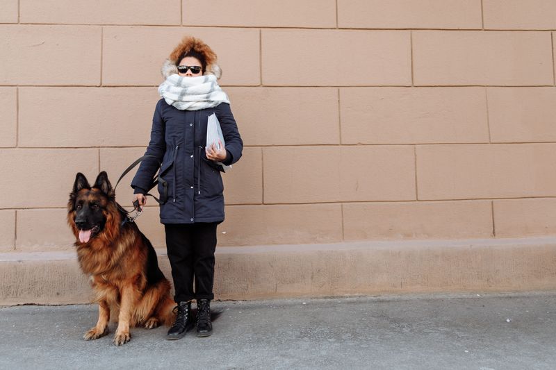 12 dog breeds whose work has changed human lives - plus 2 quiet helpers that deserve a place in the story 2 German Shepherd: The Original Guide Dog