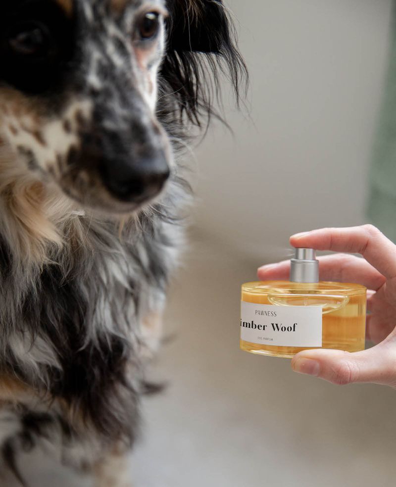 Sniff & Shine Perfume