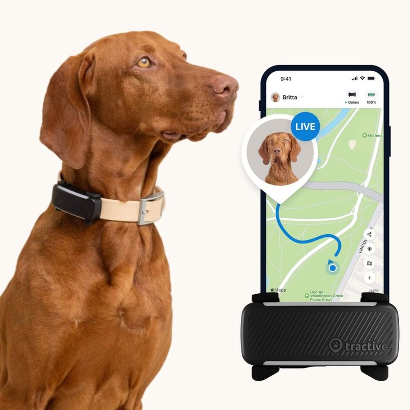 Tractive GPS Dog Tracker