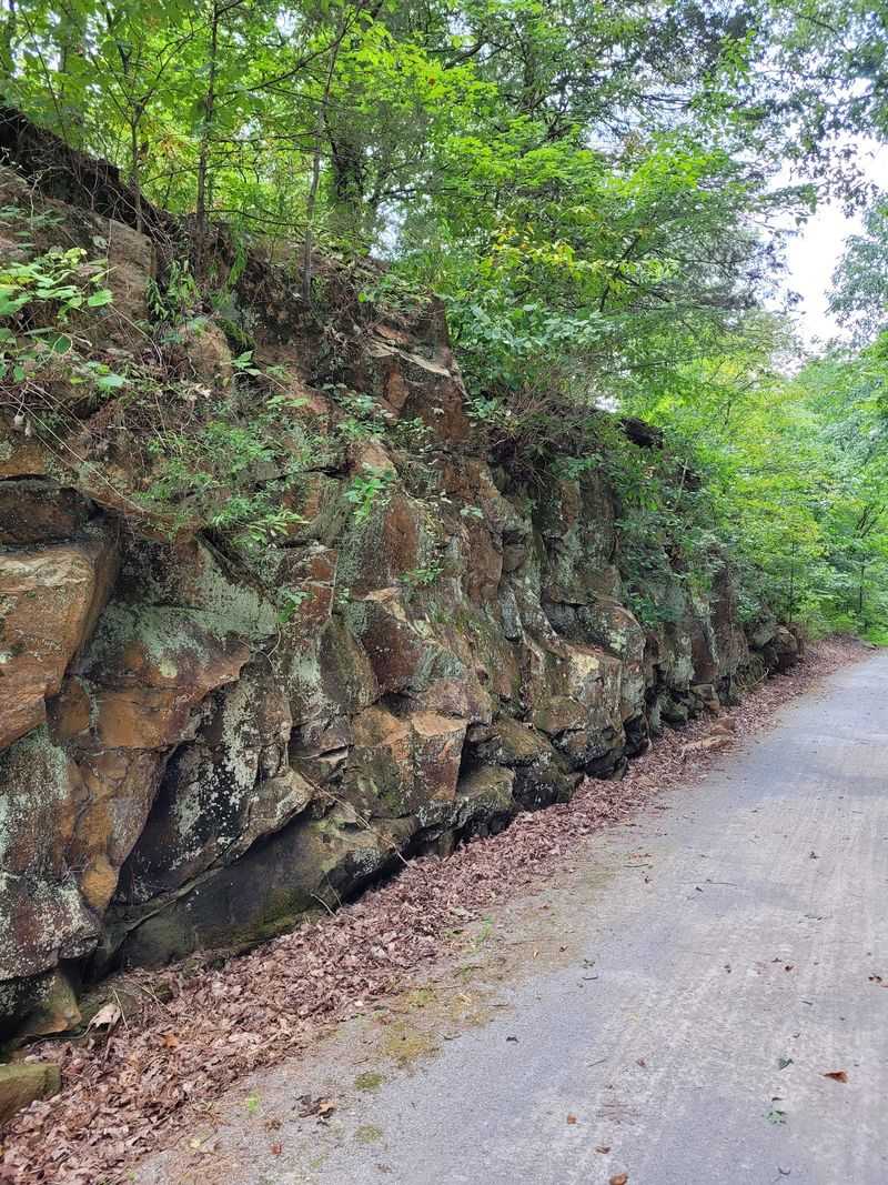Bluffs, Wetlands, and Changing Scenery