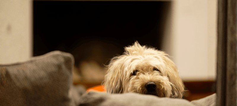 choosing a “statement spot” in the room