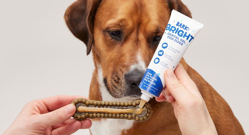 BarkBright Whitening Paste