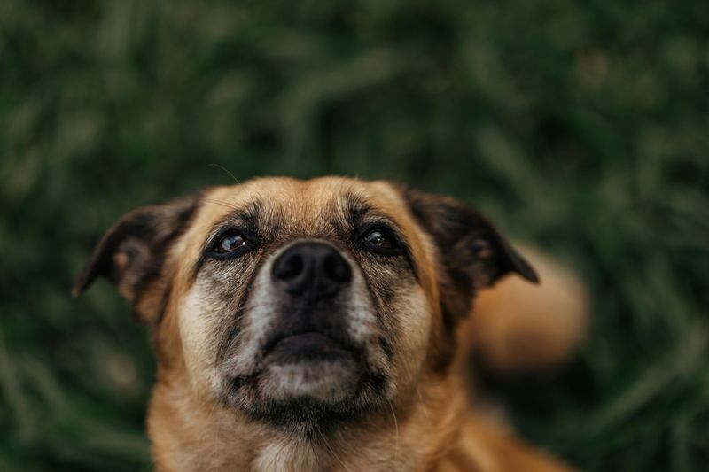 staring while you are on your phone