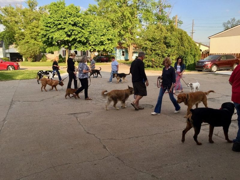 Go on regular walks together