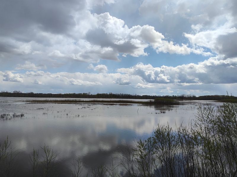 Calm Air for Nature Lovers