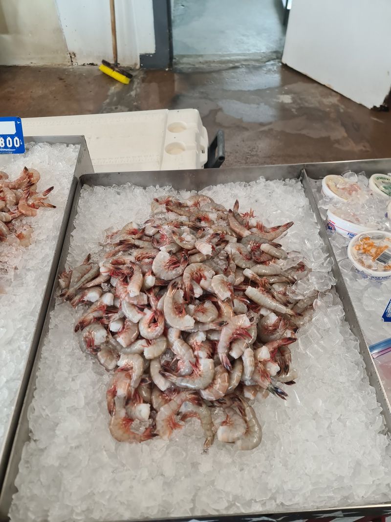 Big Gulf Shrimp That Earn the Mileage