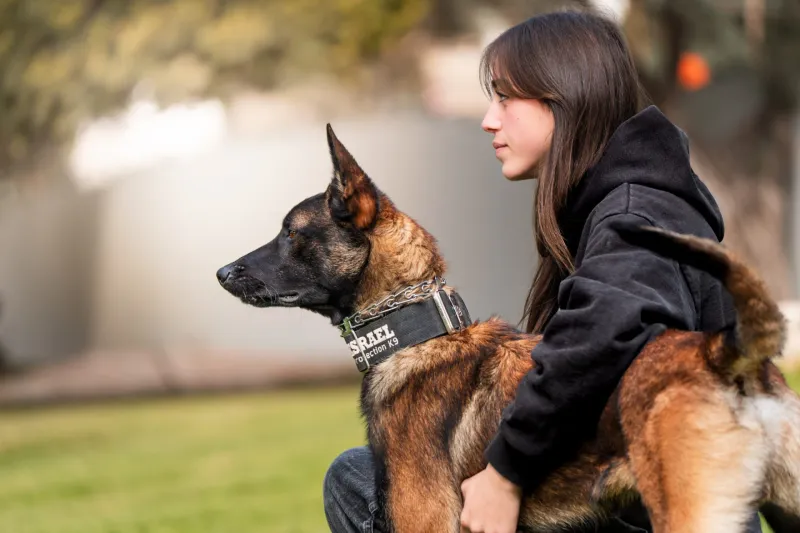 Barking that ramps up as people get closer