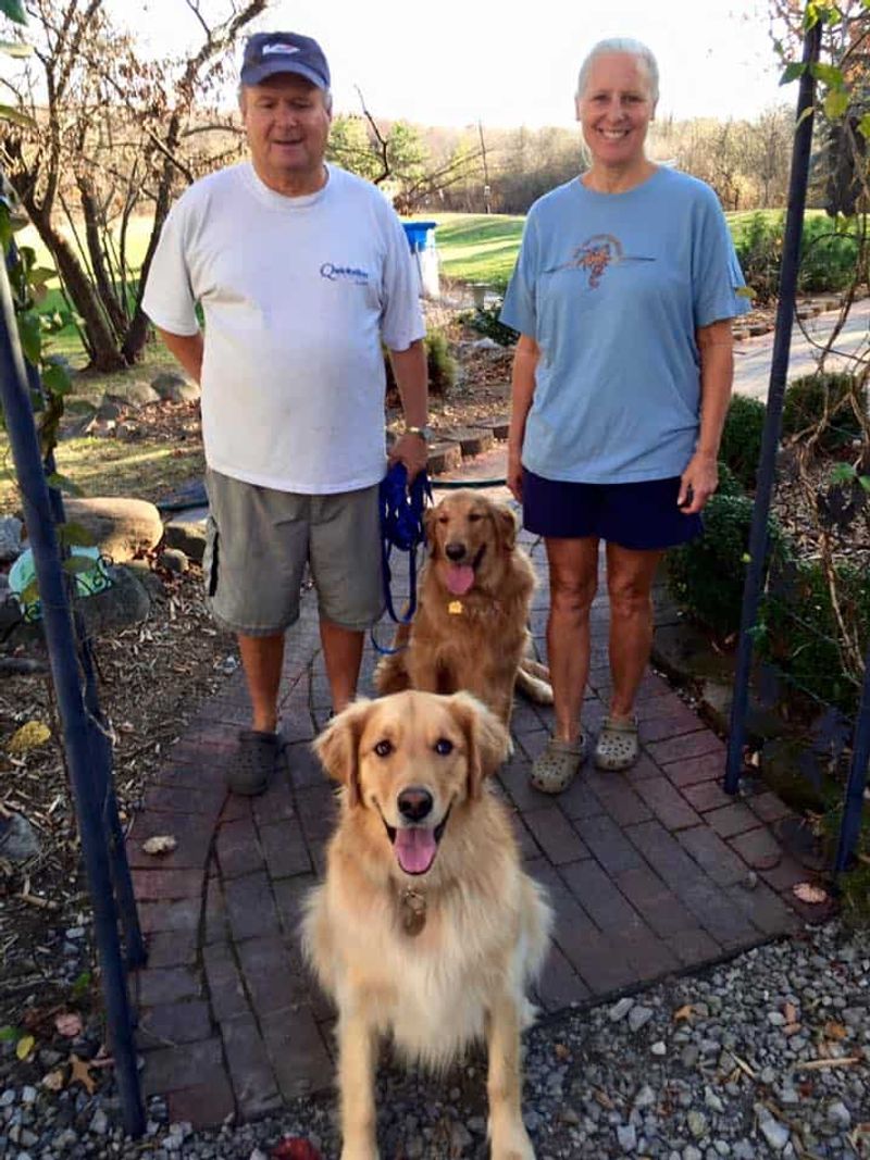 These 15 dog behavior mistakes are surprisingly common - even among knowledgeable owners 15 Comparing one dog to another