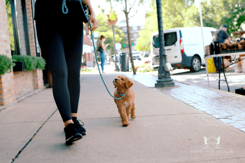slowly walking toward a sound source