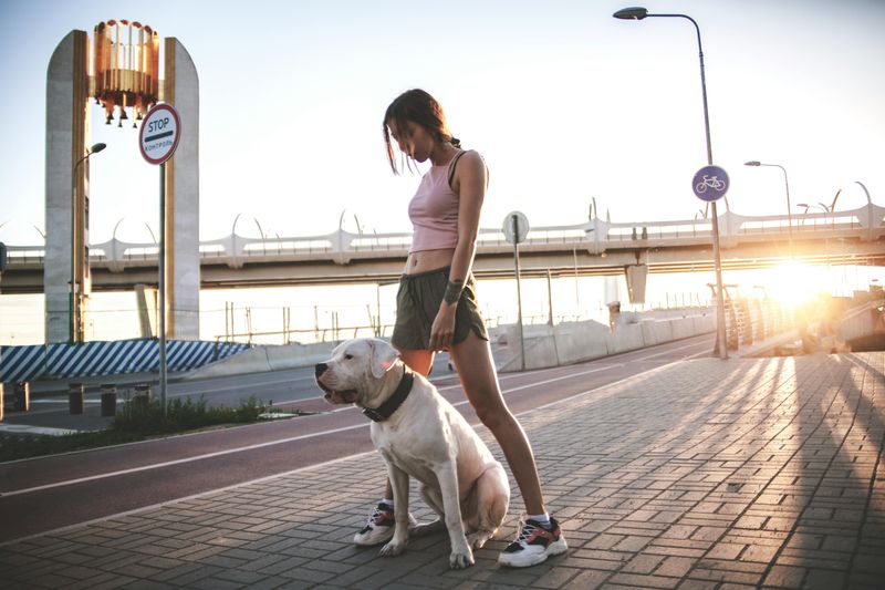 11 dog breeds many vets would never recommend for family life 7 Dogo Argentino