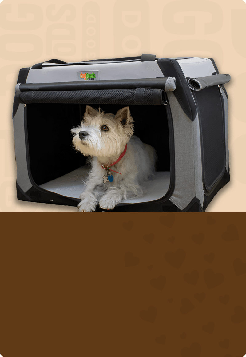 Use crate training properly