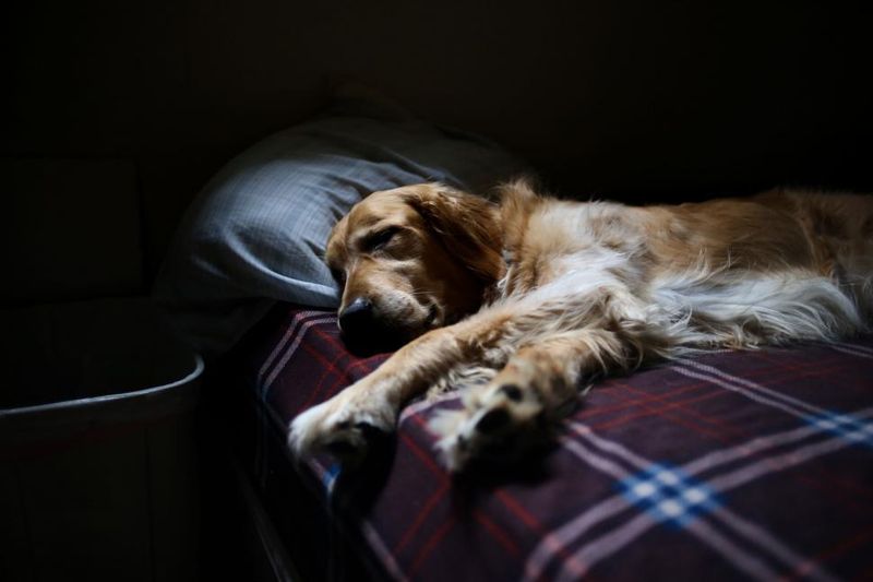 Comfortable sleep patterns
