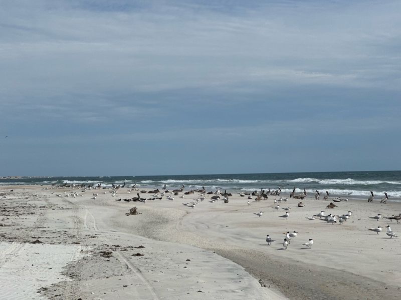 Anastasia State Park - St. Augustine, Florida