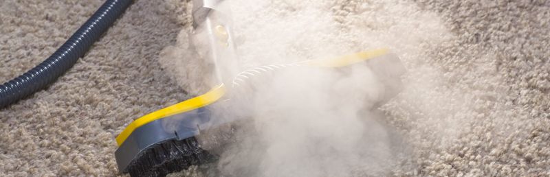 Steam cleaning (no chemicals)