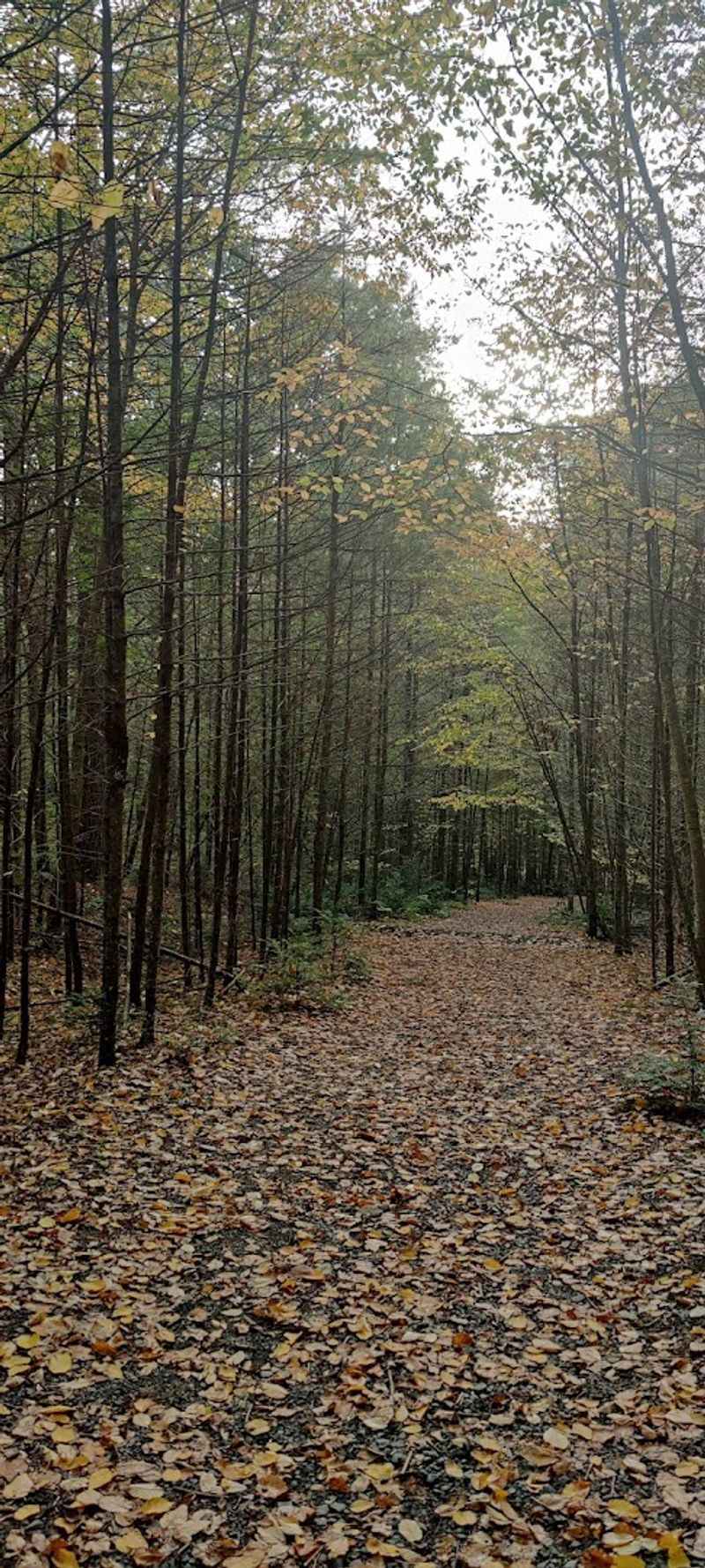 Hiking Trails Beyond the Falls