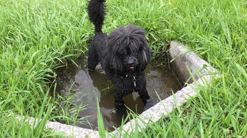 Highly ranked in intelligence