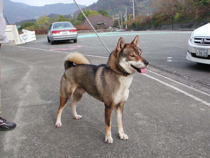 Shikoku