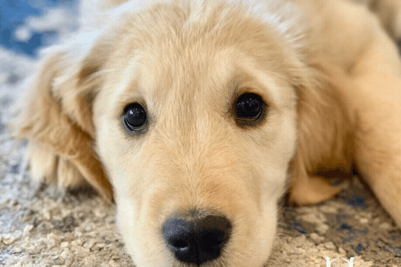 sighing, licking lips, or giving a side glance