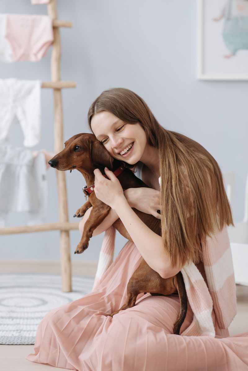 11 dog breeds that form powerful human bonds - plus 3 that may be happier around fellow dogs 8 Dachshund