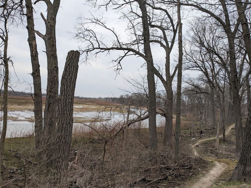 The Loop and the Trails Beyond