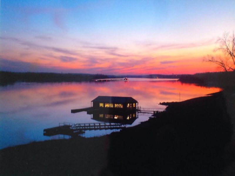 Barges, Boats, and Jumping Fish