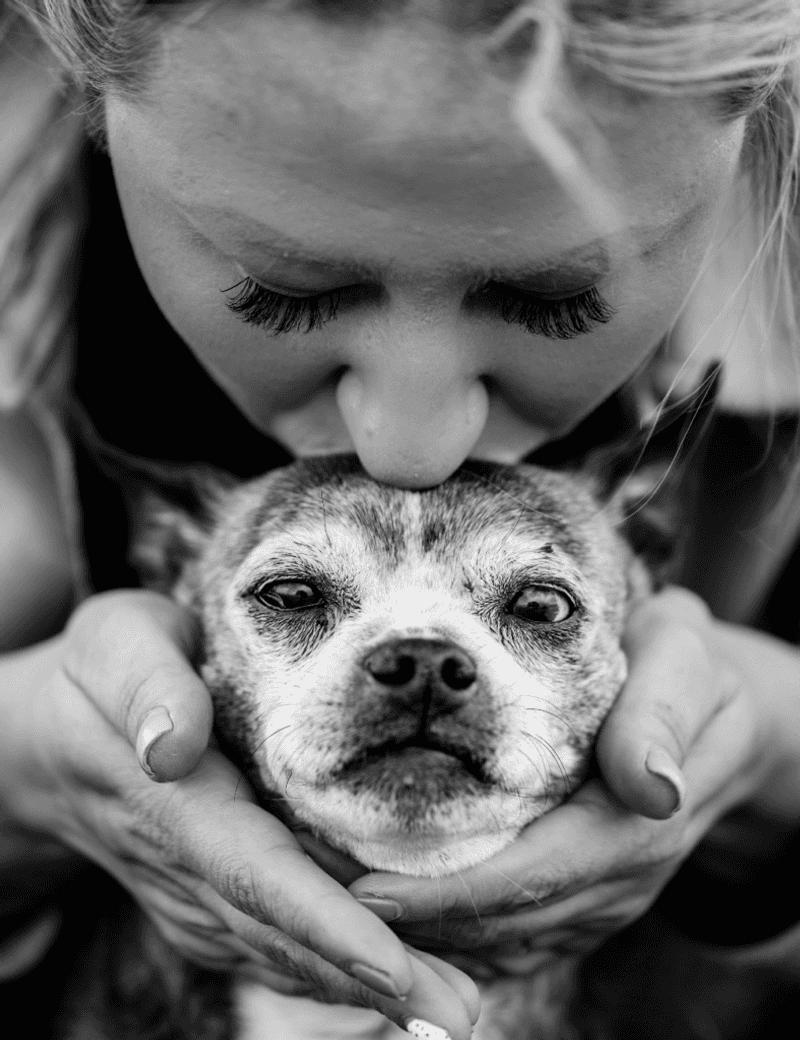 11 dog behaviors that show just how emotionally aware they really are 9 Responding to your facial expressions