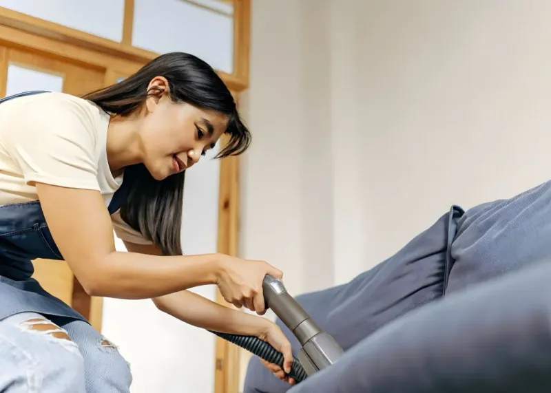 Refresh Upholstery, Curtains, and Cushions