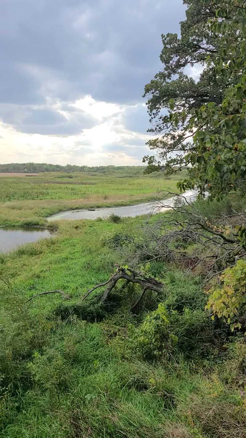 Beavers, Minks, and Other Quiet Neighbors