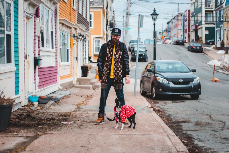 Forget the backyard question - city living tests dog breeds in completely different ways 4 Boston Terrier: The Sidewalk Comedian