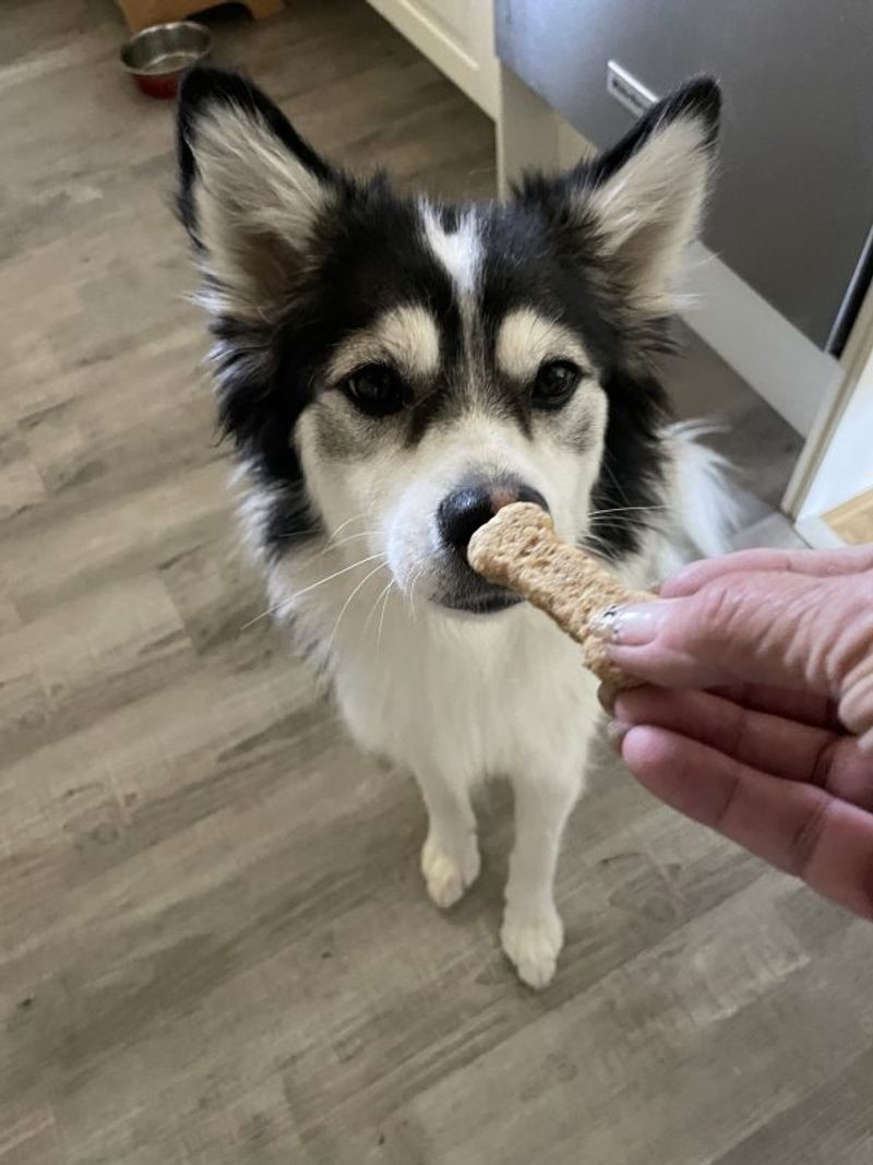 Choosing treats that are too large