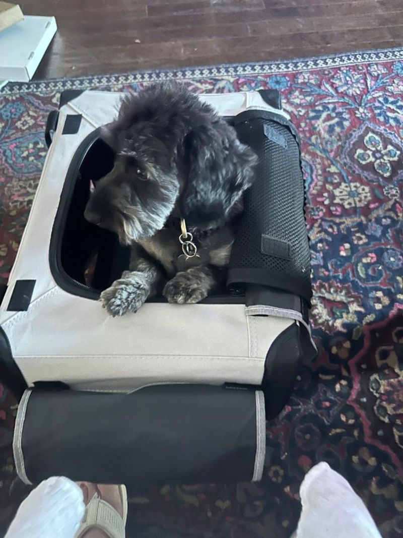 Using the wrong carrier size
